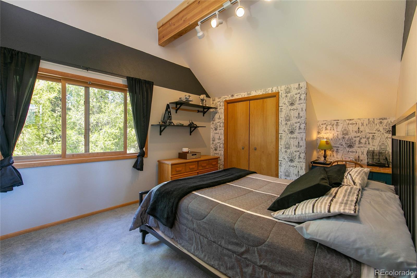 MLS Image #19 for 426 s san juan avenue,buena vista, Colorado