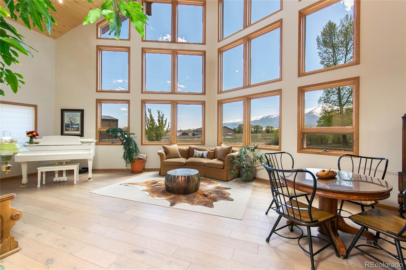 MLS Image #2 for 426 s san juan avenue,buena vista, Colorado