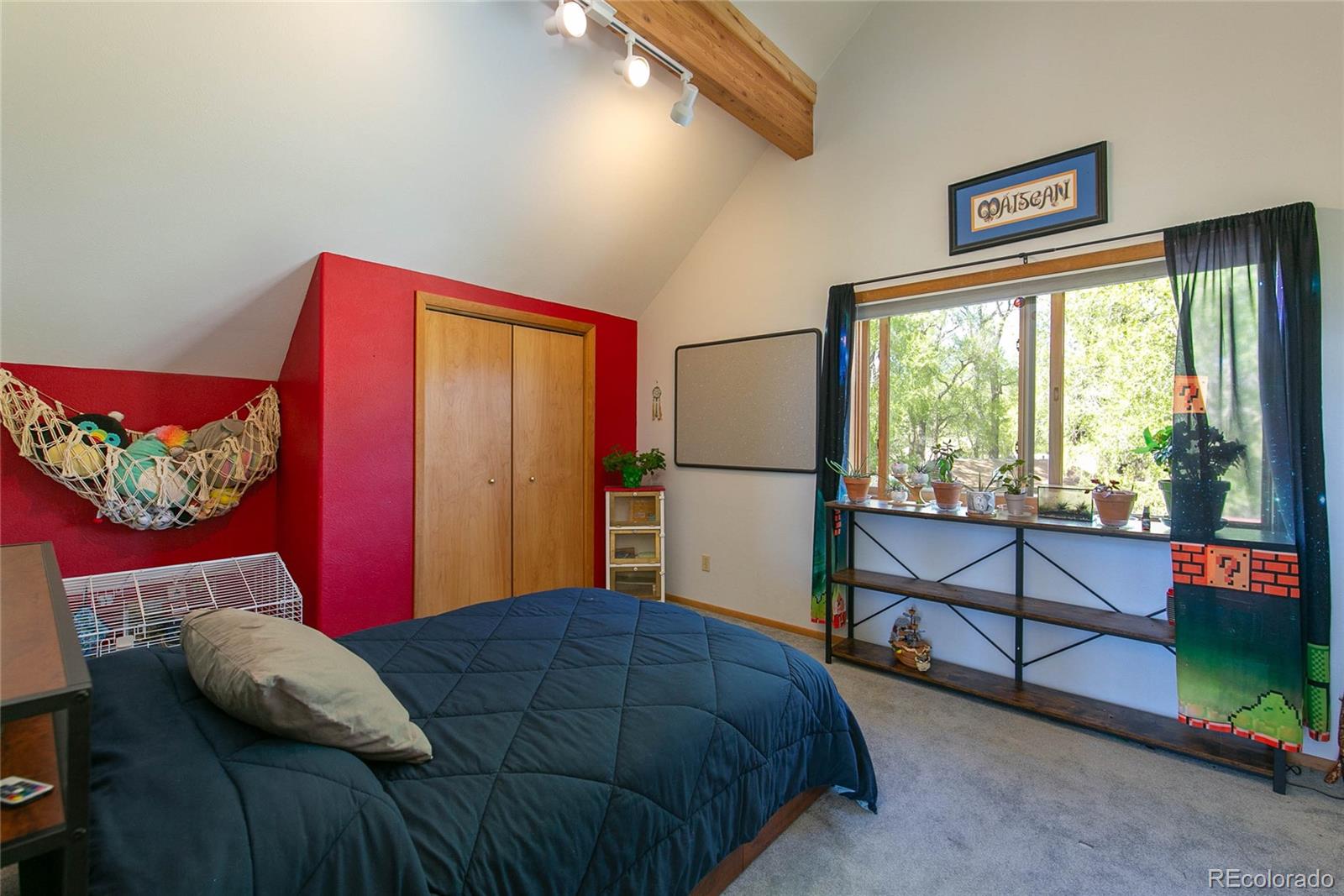 MLS Image #20 for 426 s san juan avenue,buena vista, Colorado