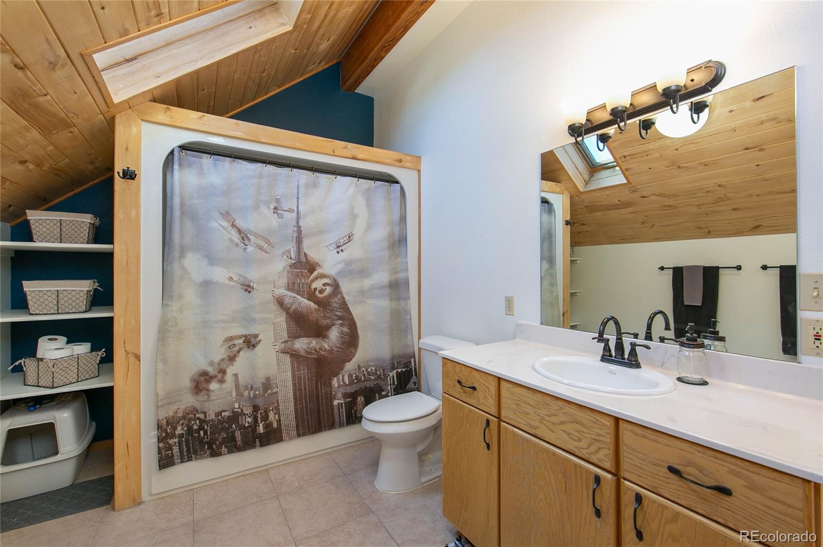 MLS Image #21 for 426 s san juan avenue,buena vista, Colorado