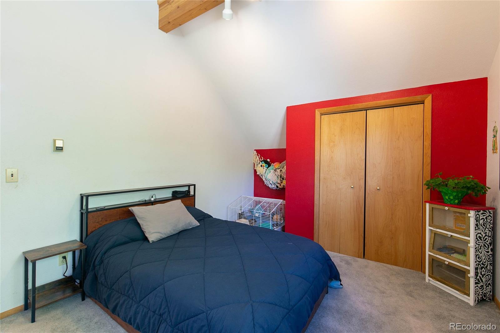 MLS Image #23 for 426 s san juan avenue,buena vista, Colorado