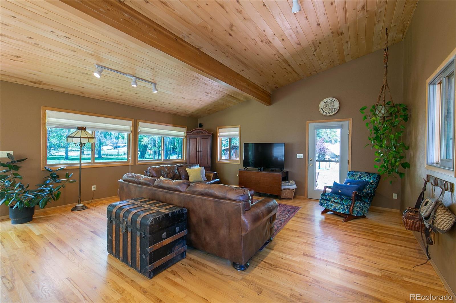 MLS Image #5 for 426 s san juan avenue,buena vista, Colorado