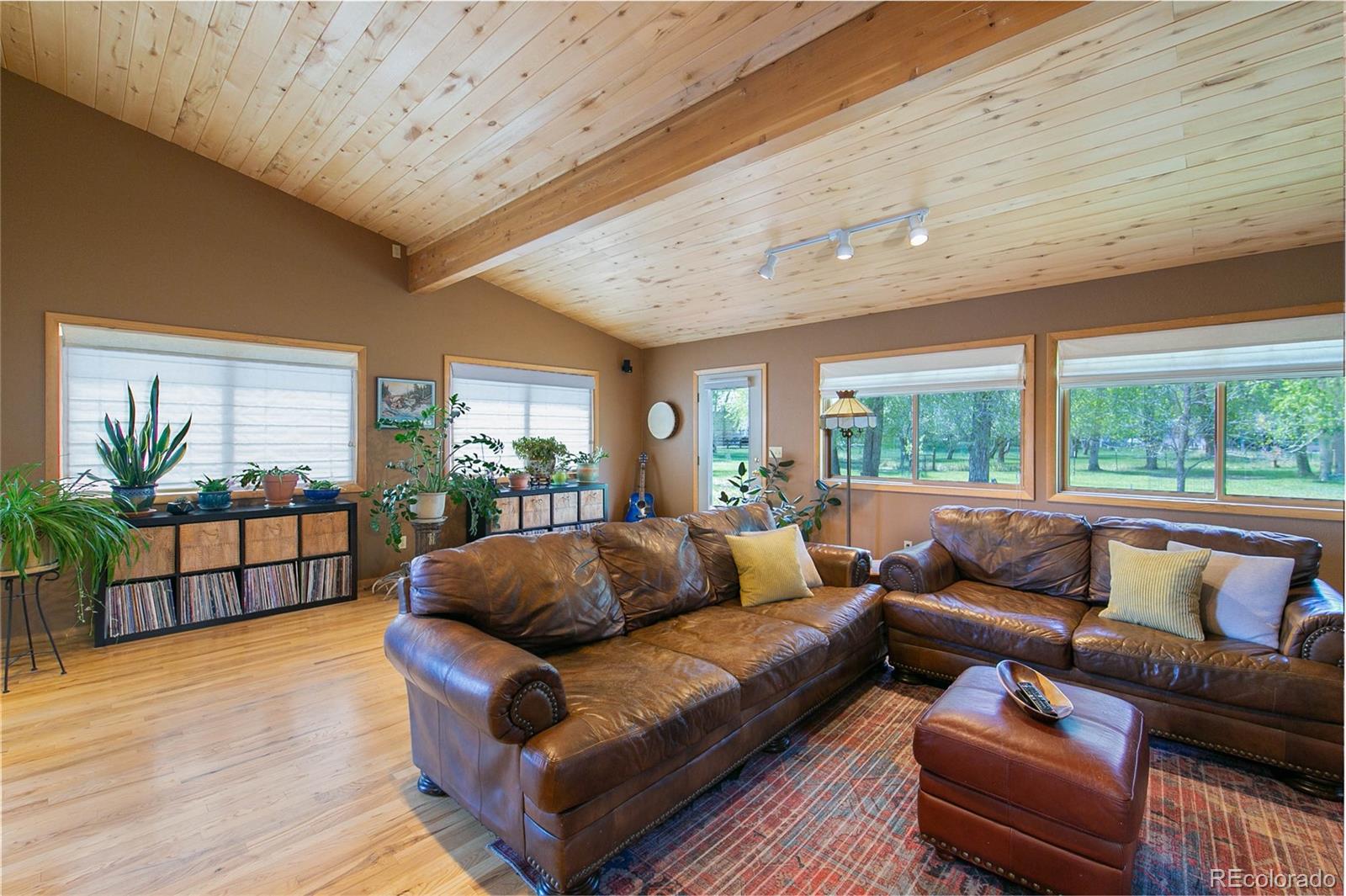 MLS Image #6 for 426 s san juan avenue,buena vista, Colorado