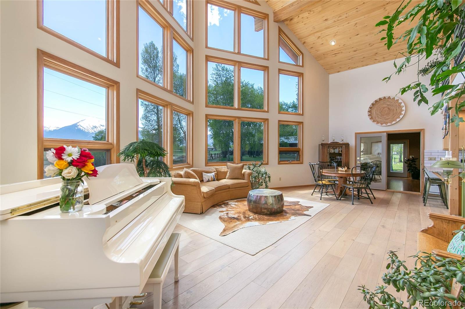 MLS Image #8 for 426 s san juan avenue,buena vista, Colorado
