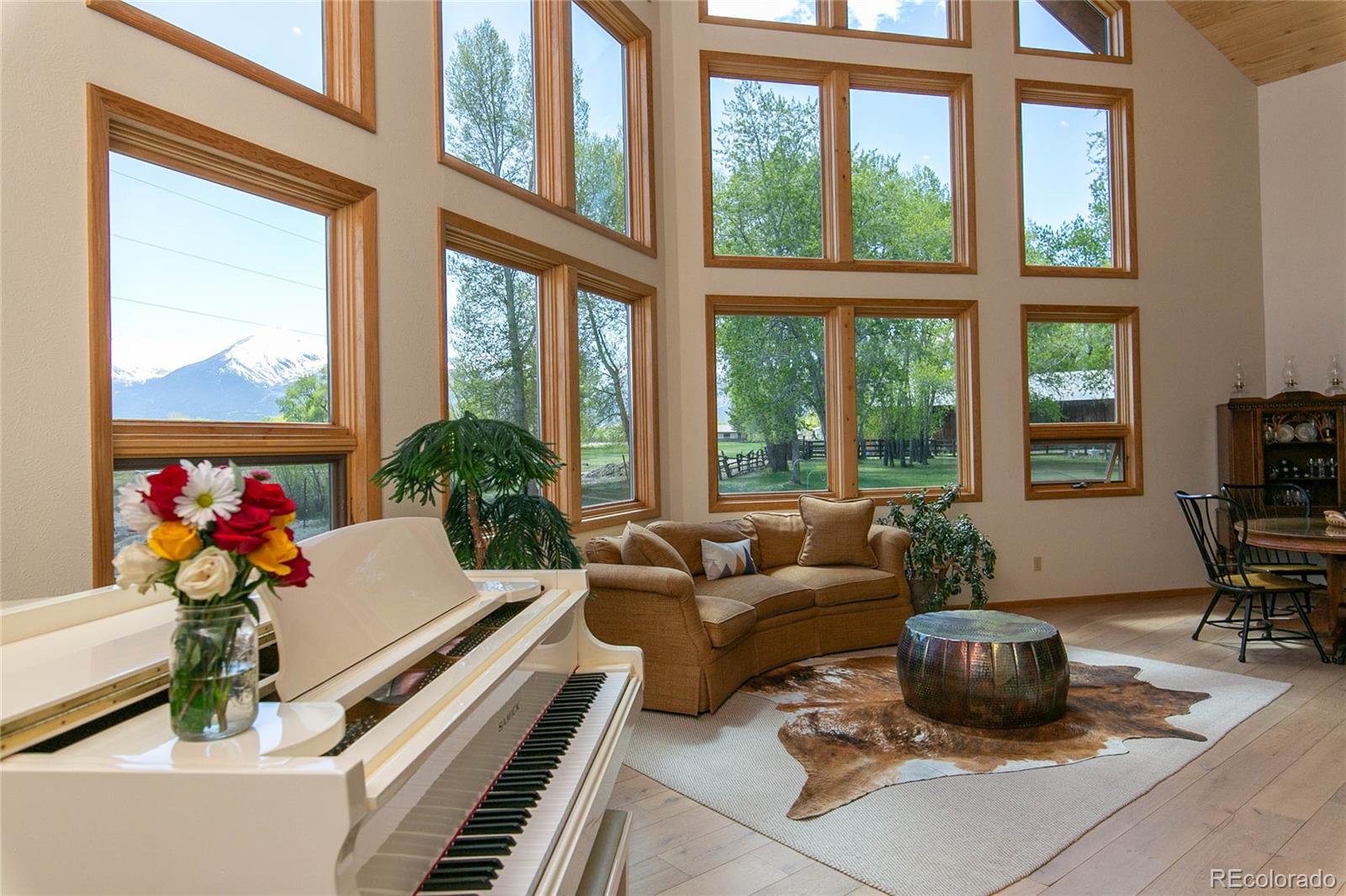 MLS Image #9 for 426 s san juan avenue,buena vista, Colorado