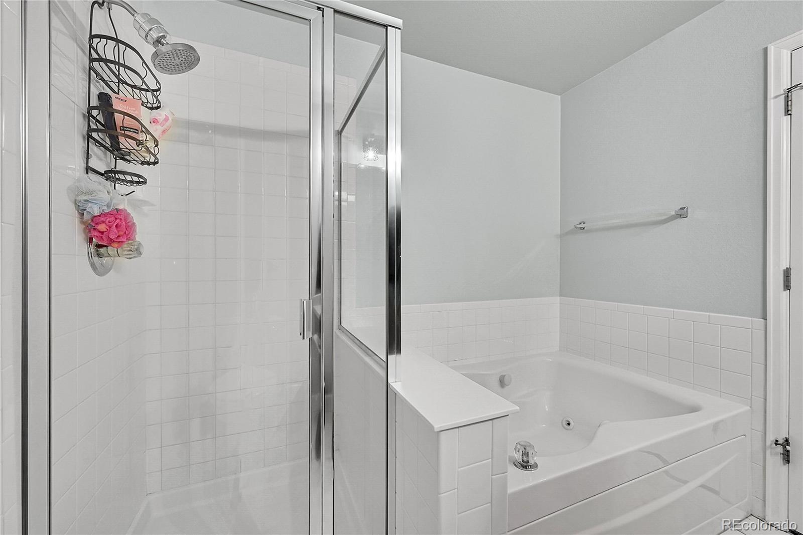 MLS Image #17 for 5577  jasper street,denver, Colorado