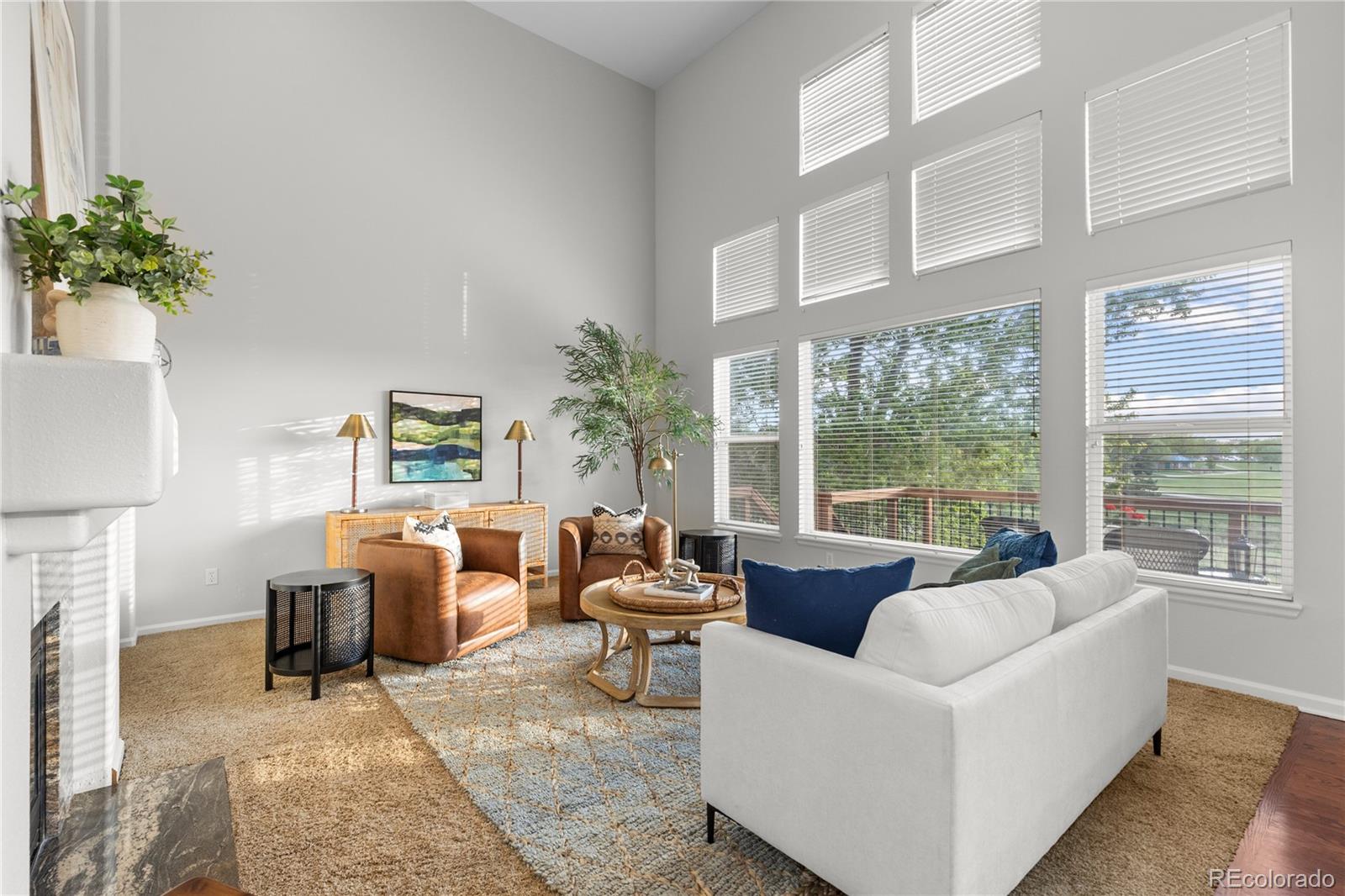 MLS Image #20 for 9453  lark sparrow drive,highlands ranch, Colorado