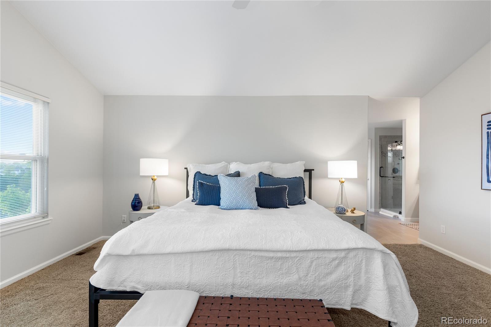 MLS Image #29 for 9453  lark sparrow drive,highlands ranch, Colorado