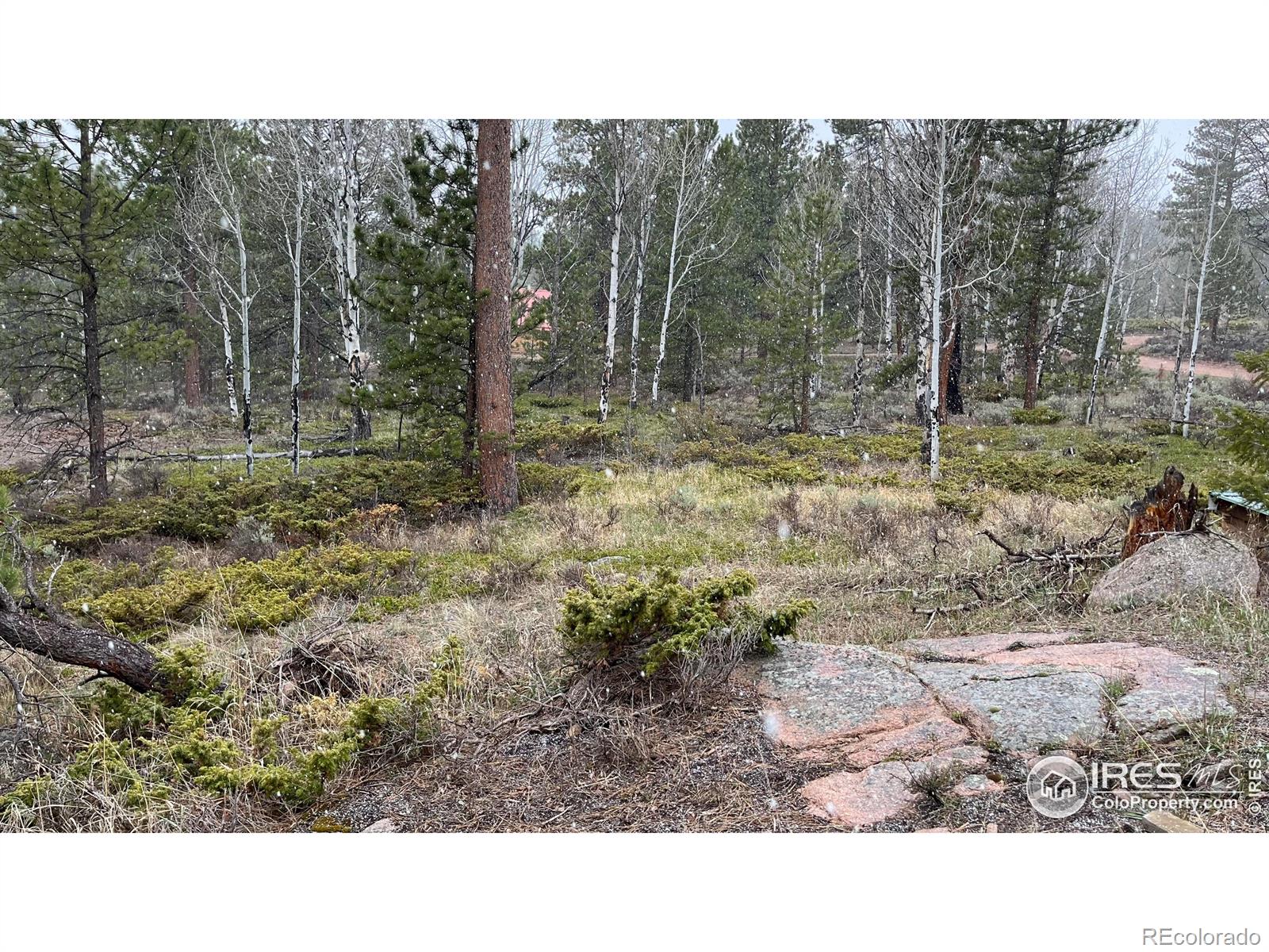 MLS Image #10 for 480  comanche circle,red feather lakes, Colorado