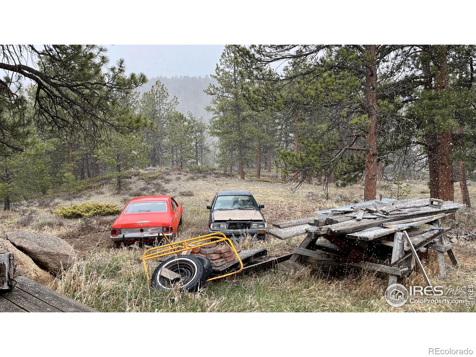 MLS Image #12 for 480  comanche circle,red feather lakes, Colorado