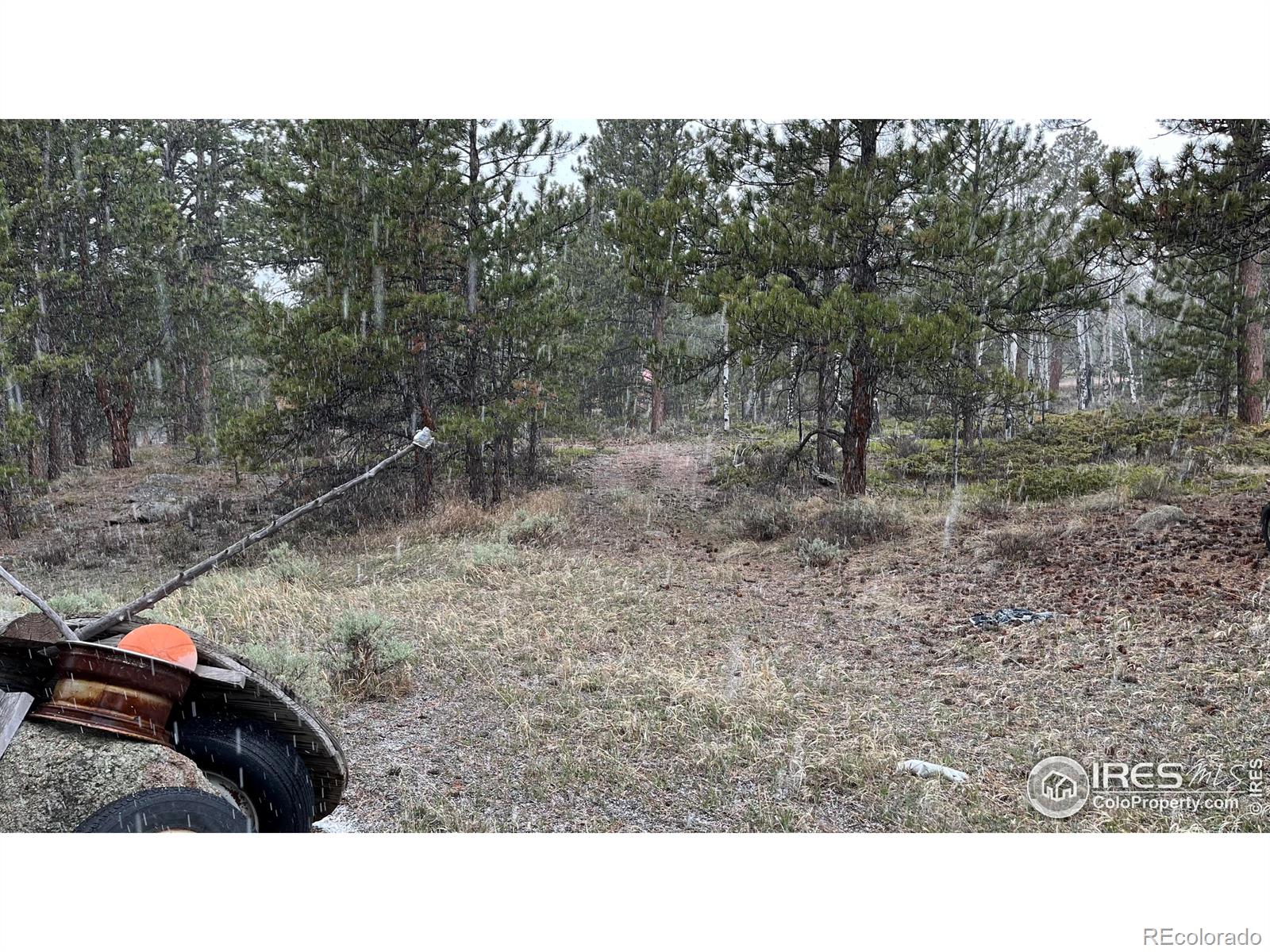 MLS Image #17 for 480  comanche circle,red feather lakes, Colorado