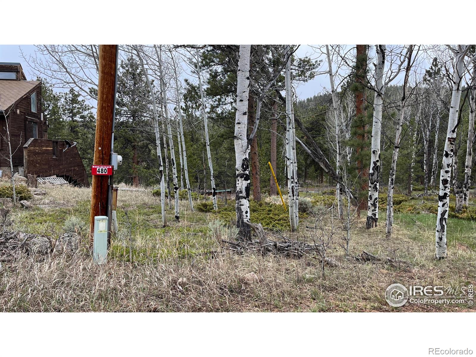 MLS Image #3 for 480  comanche circle,red feather lakes, Colorado