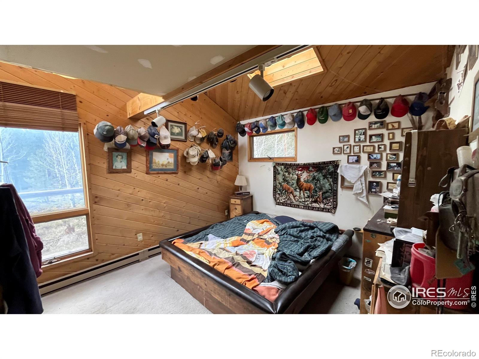 MLS Image #7 for 480  comanche circle,red feather lakes, Colorado