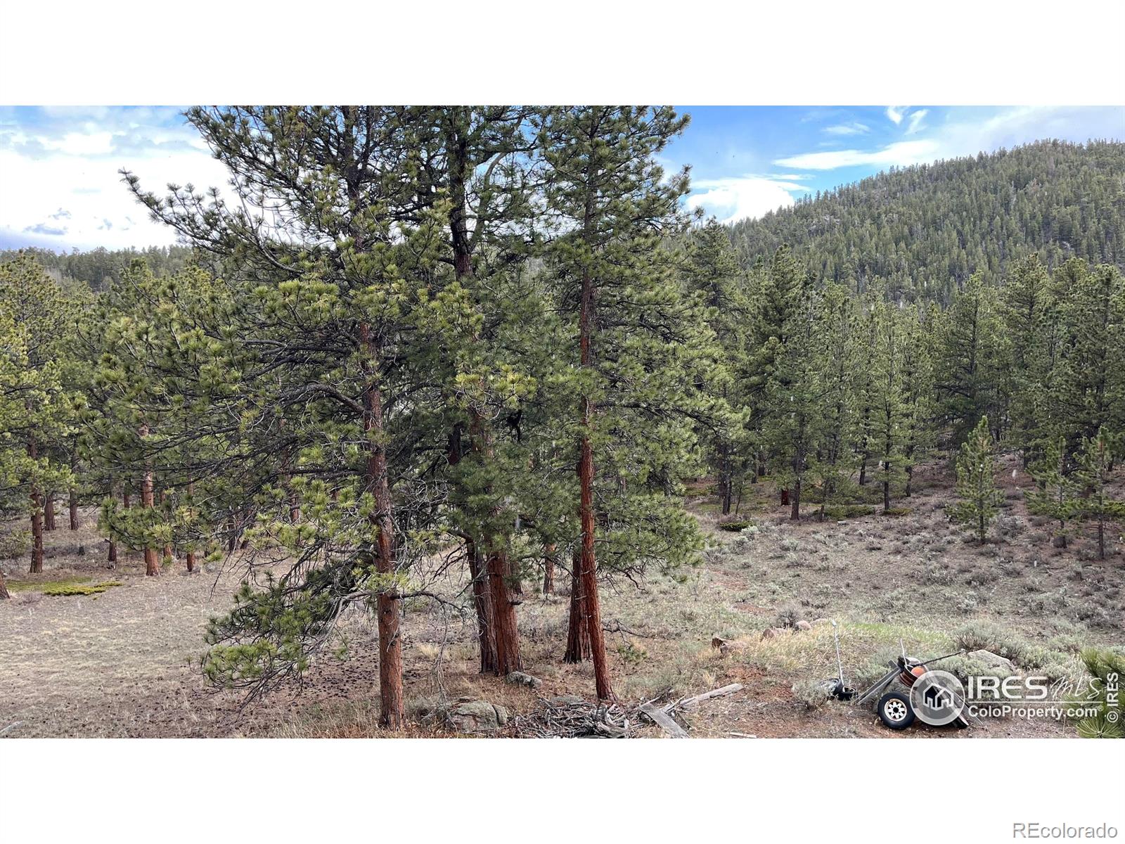 MLS Image #9 for 480  comanche circle,red feather lakes, Colorado