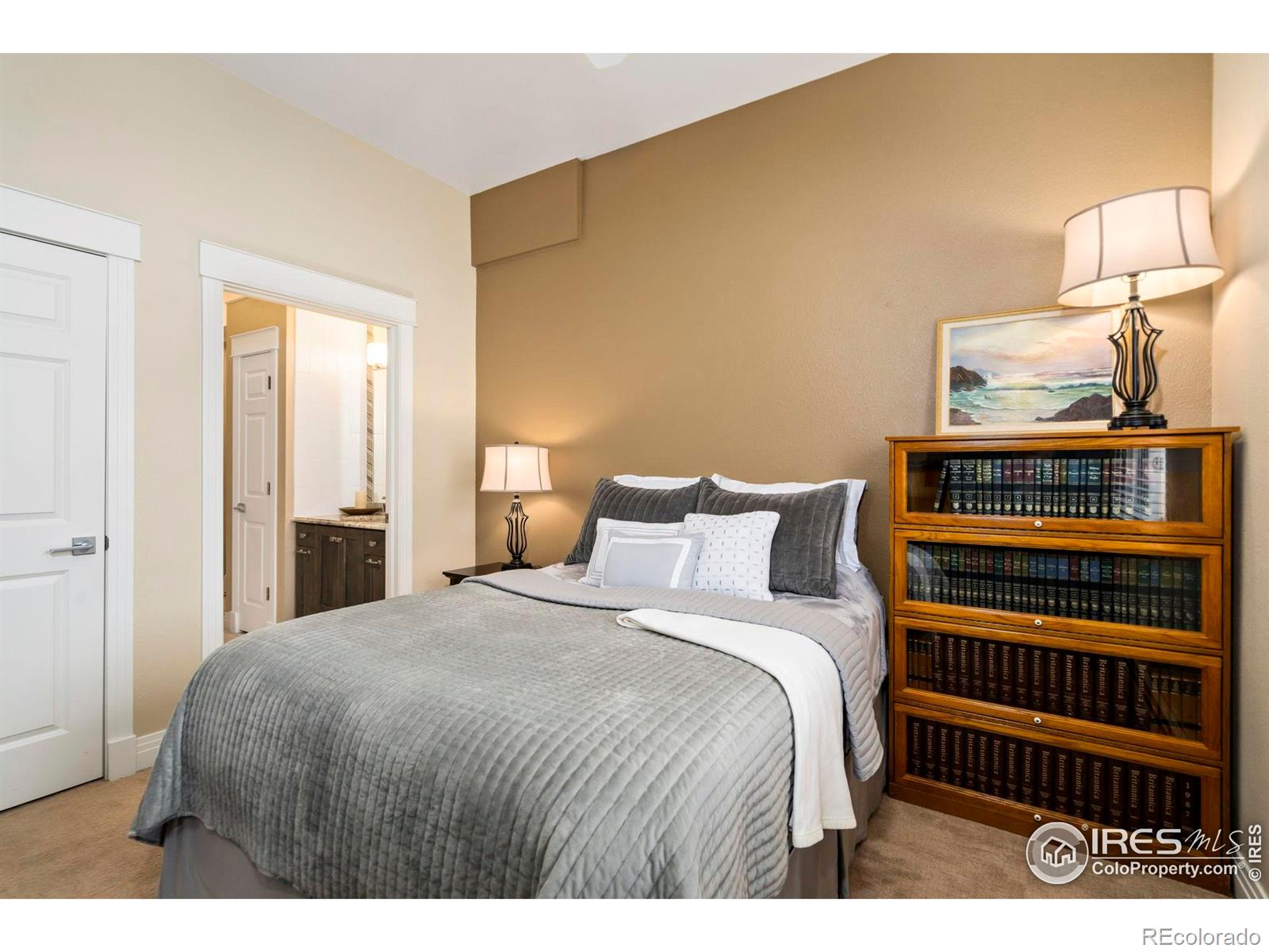 MLS Image #17 for 2025  mathews street,fort collins, Colorado