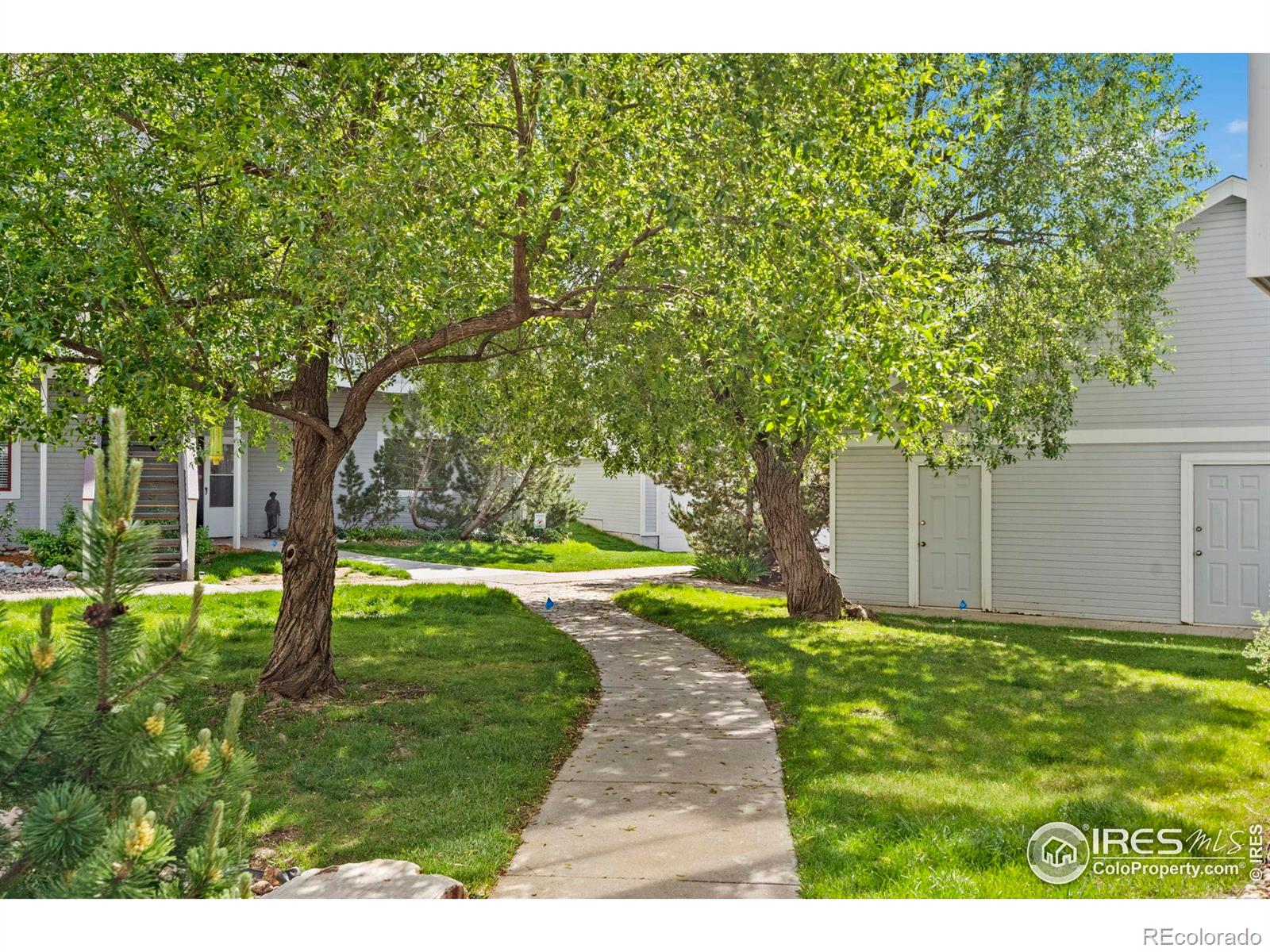MLS Image #28 for 2025  mathews street,fort collins, Colorado