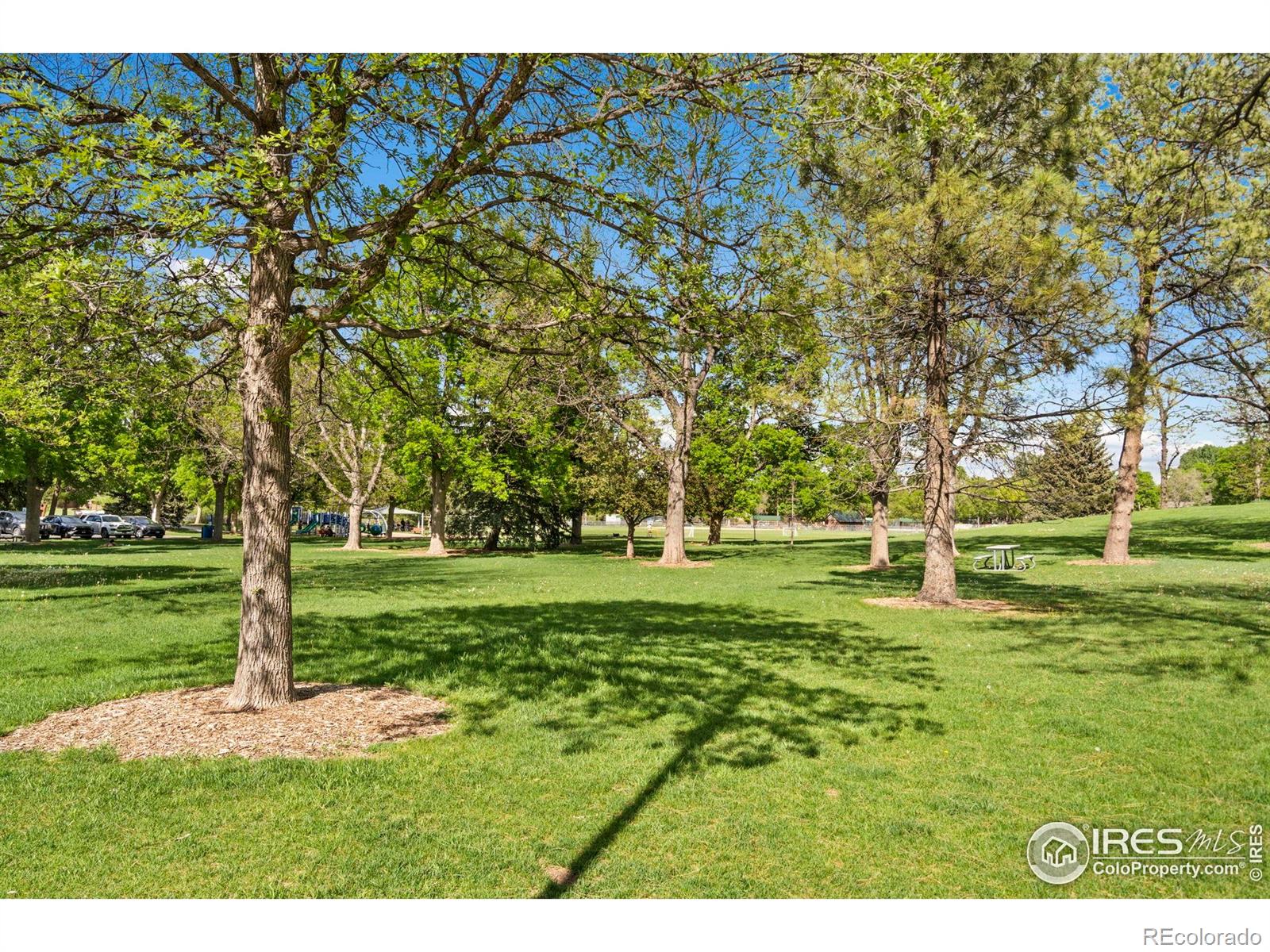 MLS Image #31 for 2025  mathews street,fort collins, Colorado
