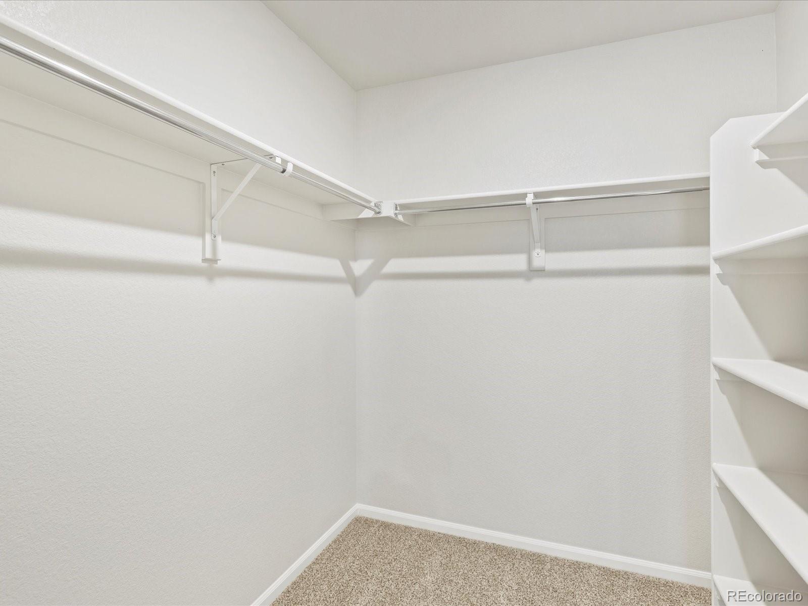MLS Image #30 for 1675  rumley creek drive,windsor, Colorado