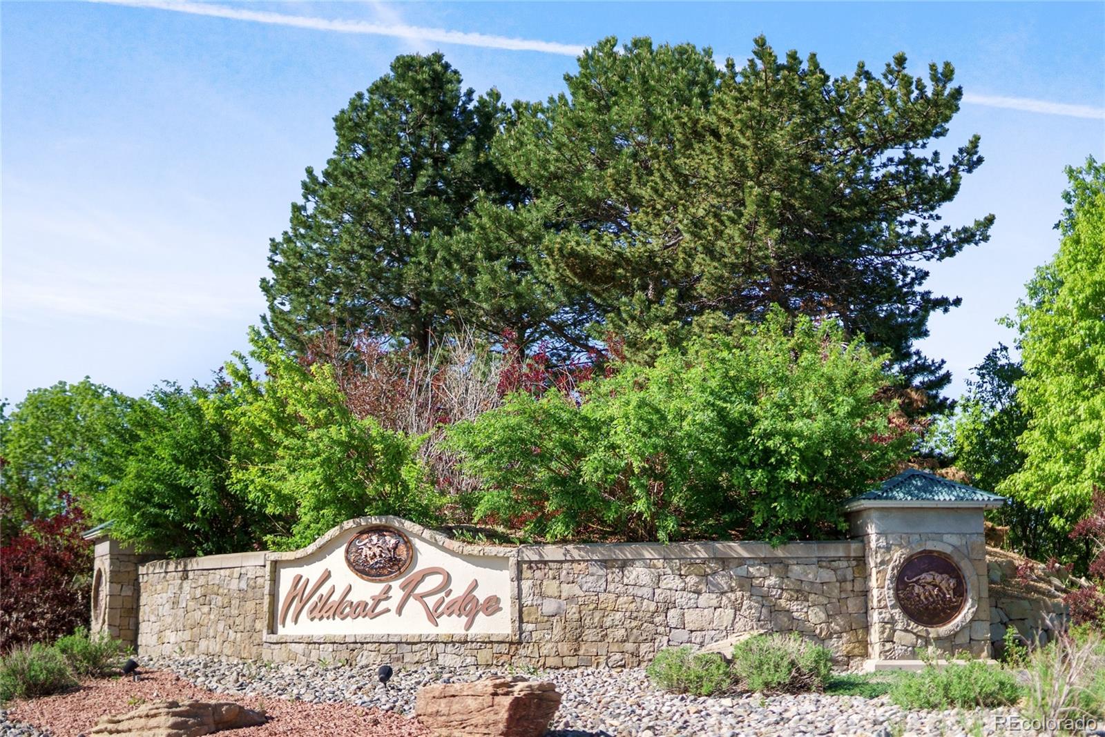 MLS Image #38 for 10511  jaguar glen,lone tree, Colorado