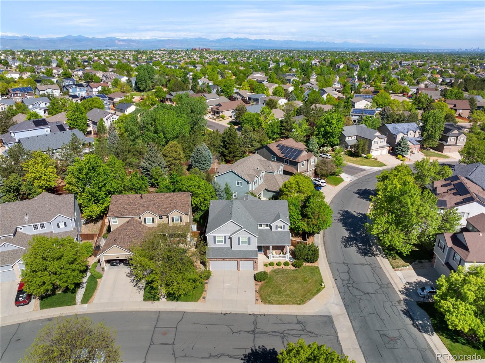 MLS Image #42 for 10511  jaguar glen,lone tree, Colorado