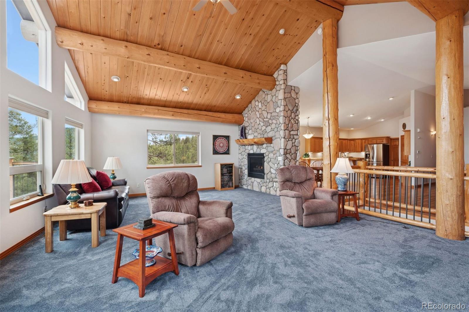 MLS Image #10 for 29004  amerind springs trail,pine, Colorado