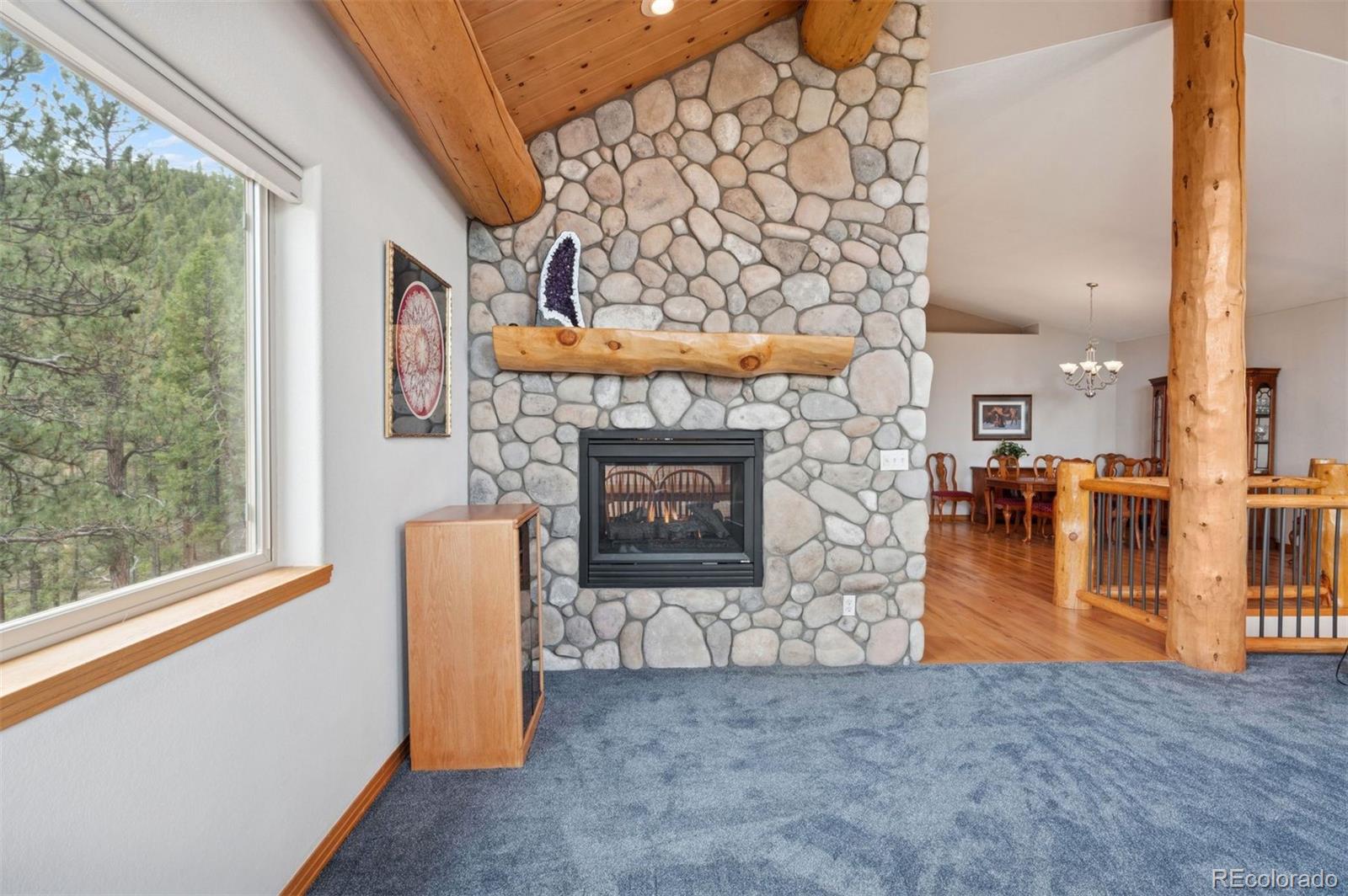 MLS Image #11 for 29004  amerind springs trail,pine, Colorado