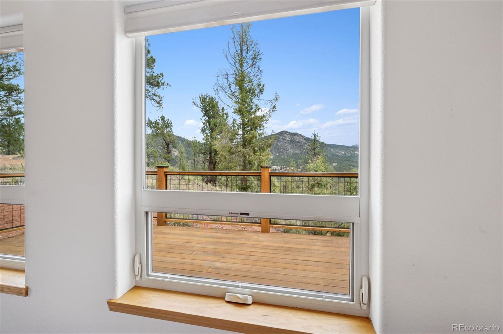 MLS Image #13 for 29004  amerind springs trail,pine, Colorado