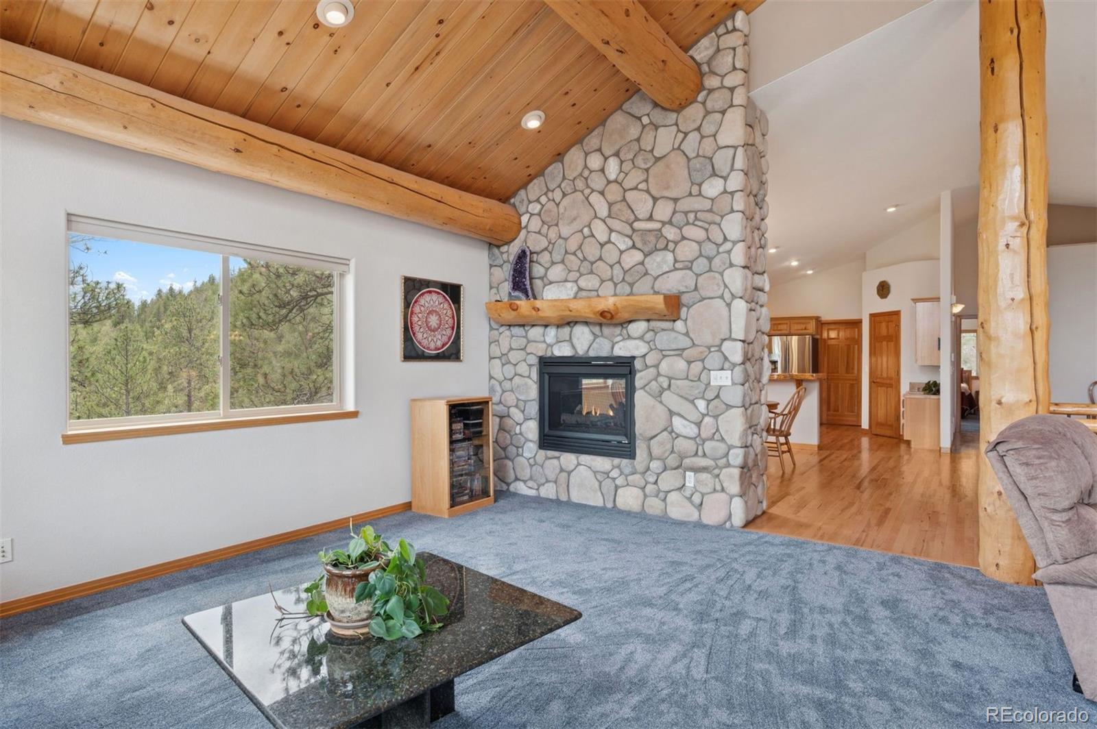 MLS Image #14 for 29004  amerind springs trail,pine, Colorado