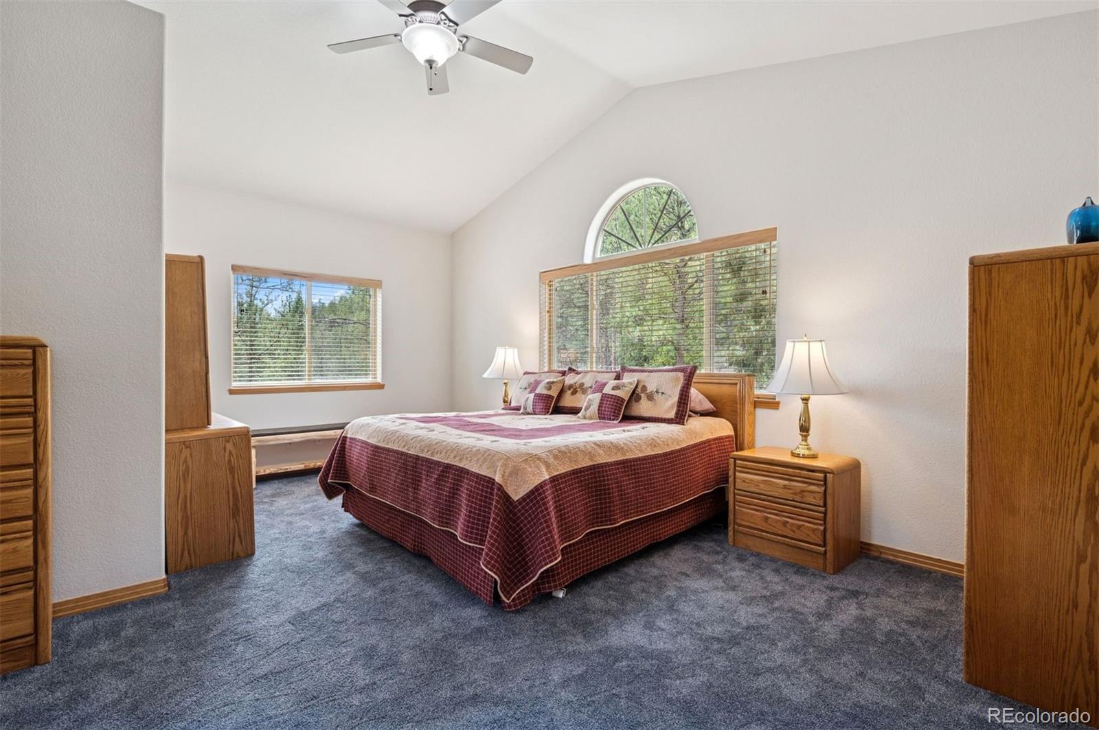 MLS Image #21 for 29004  amerind springs trail,pine, Colorado