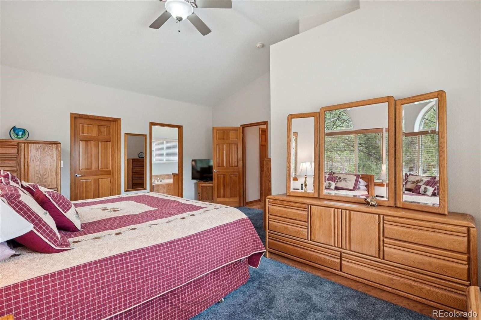 MLS Image #22 for 29004  amerind springs trail,pine, Colorado