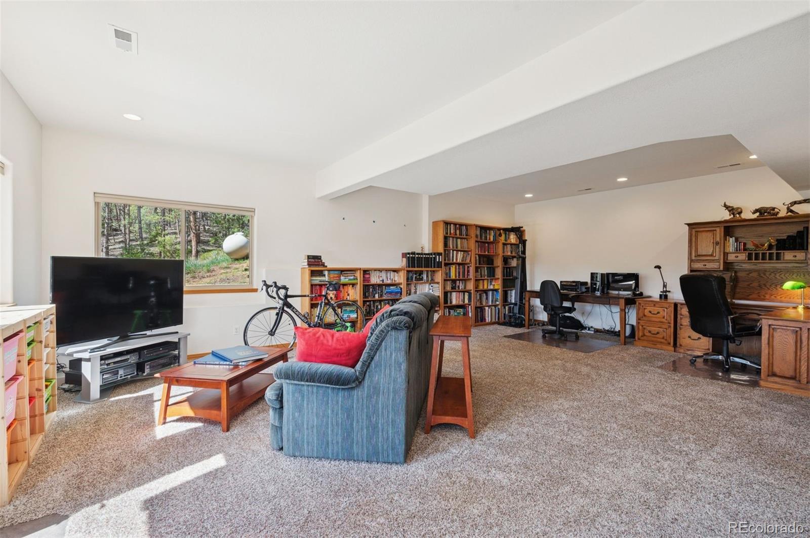 MLS Image #31 for 29004  amerind springs trail,pine, Colorado