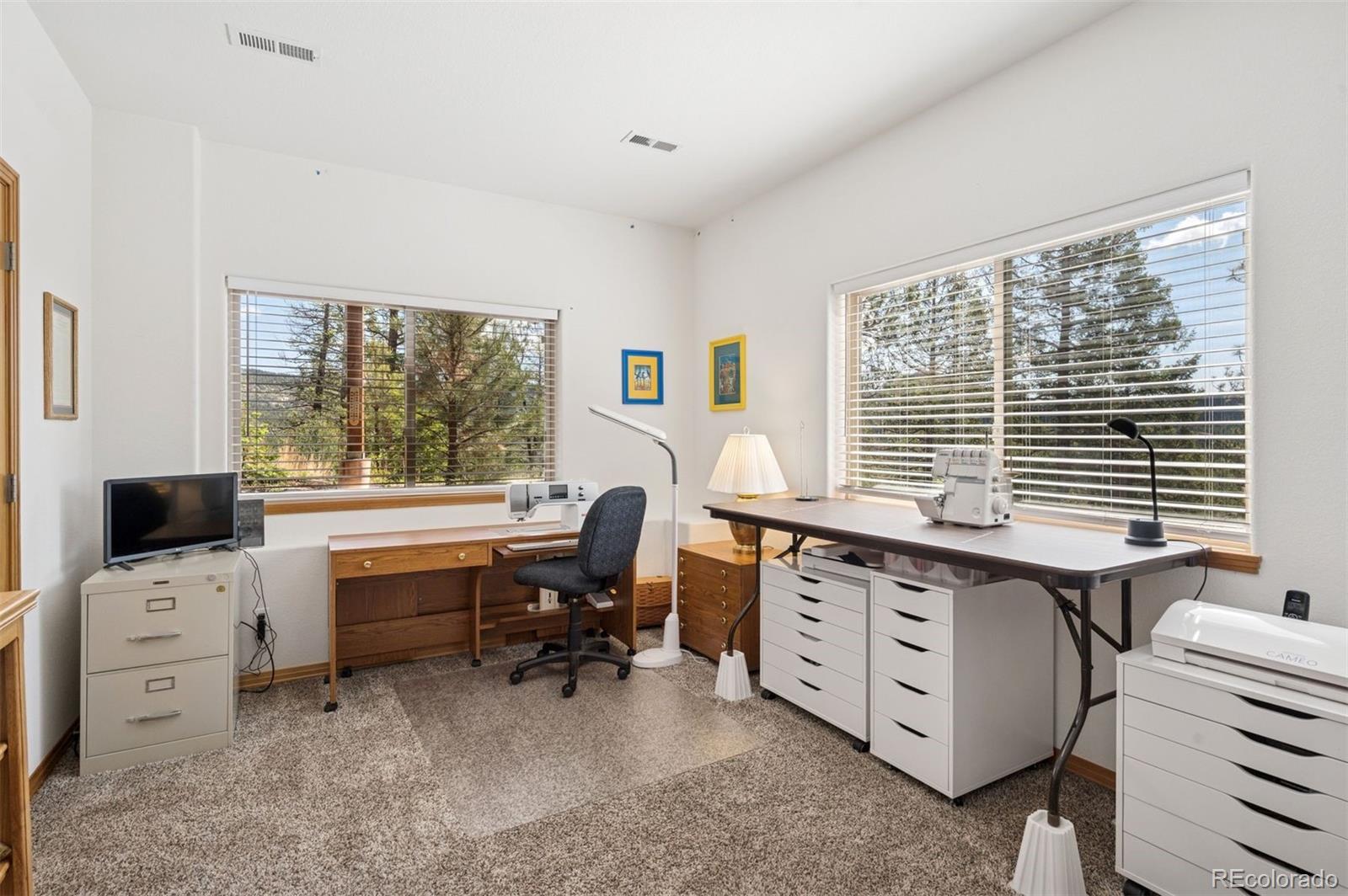 MLS Image #36 for 29004  amerind springs trail,pine, Colorado