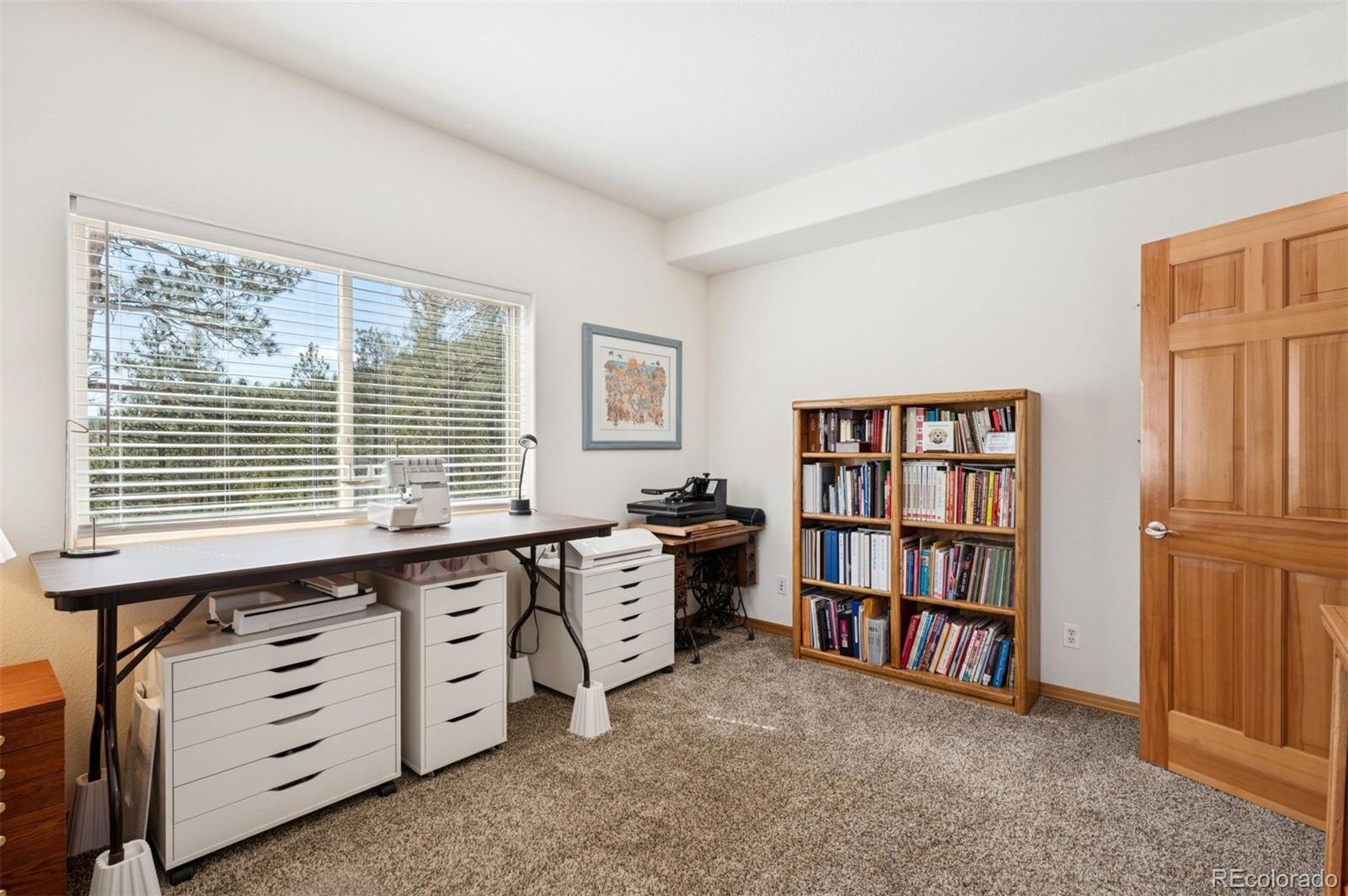 MLS Image #37 for 29004  amerind springs trail,pine, Colorado