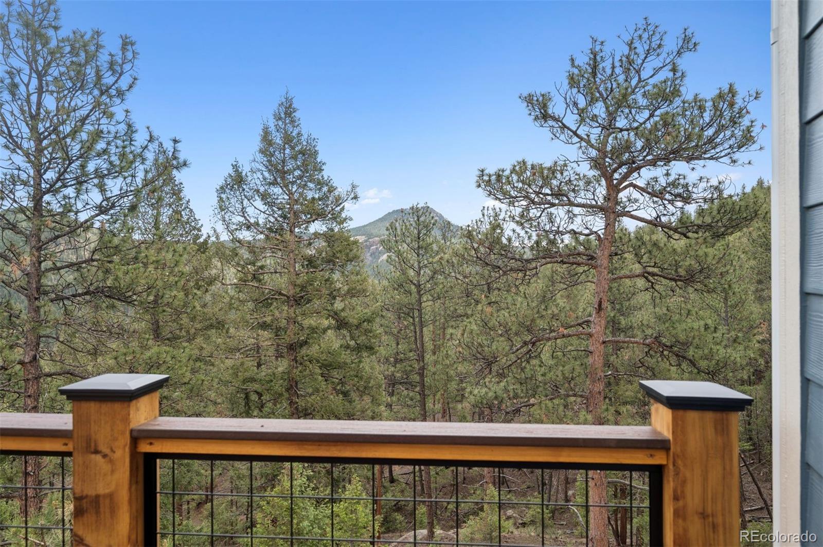 MLS Image #39 for 29004  amerind springs trail,pine, Colorado