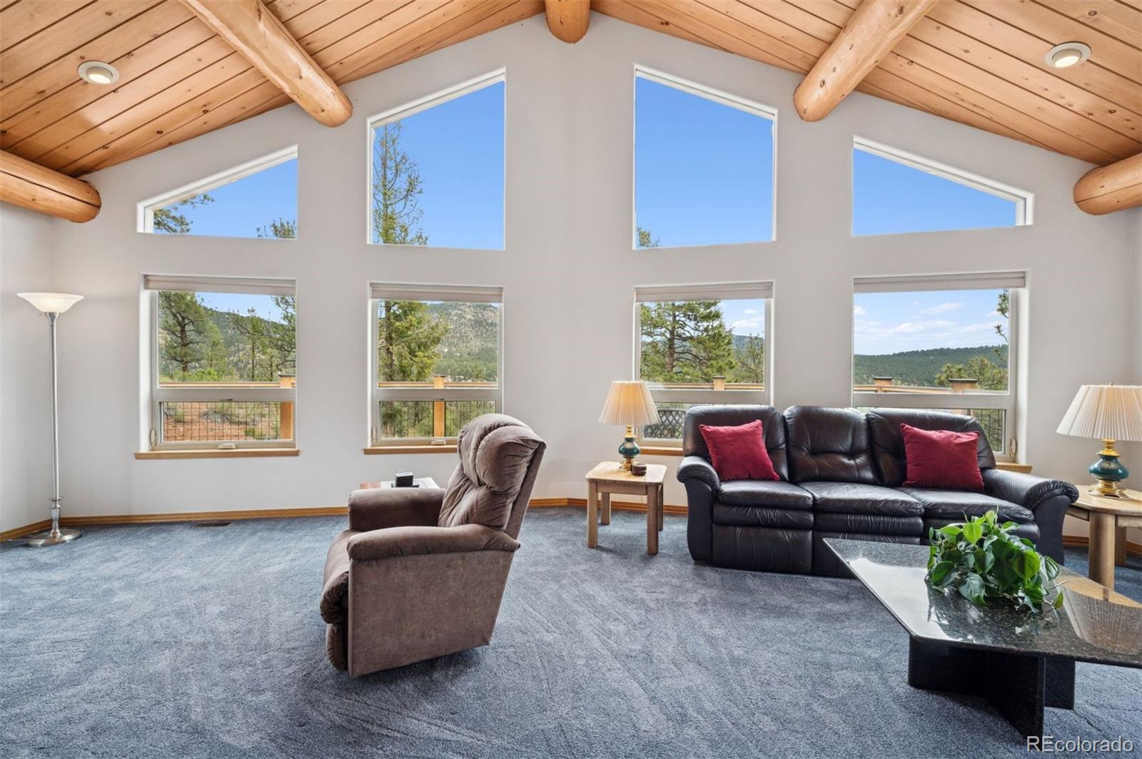 MLS Image #6 for 29004  amerind springs trail,pine, Colorado