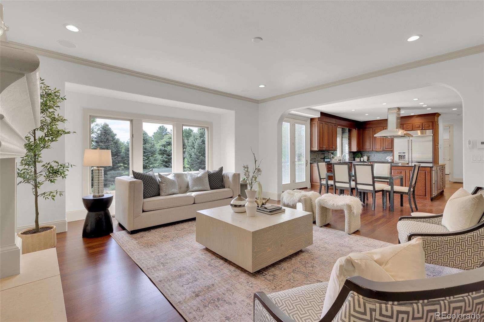 MLS Image #13 for 51  falcon hills drive,highlands ranch, Colorado