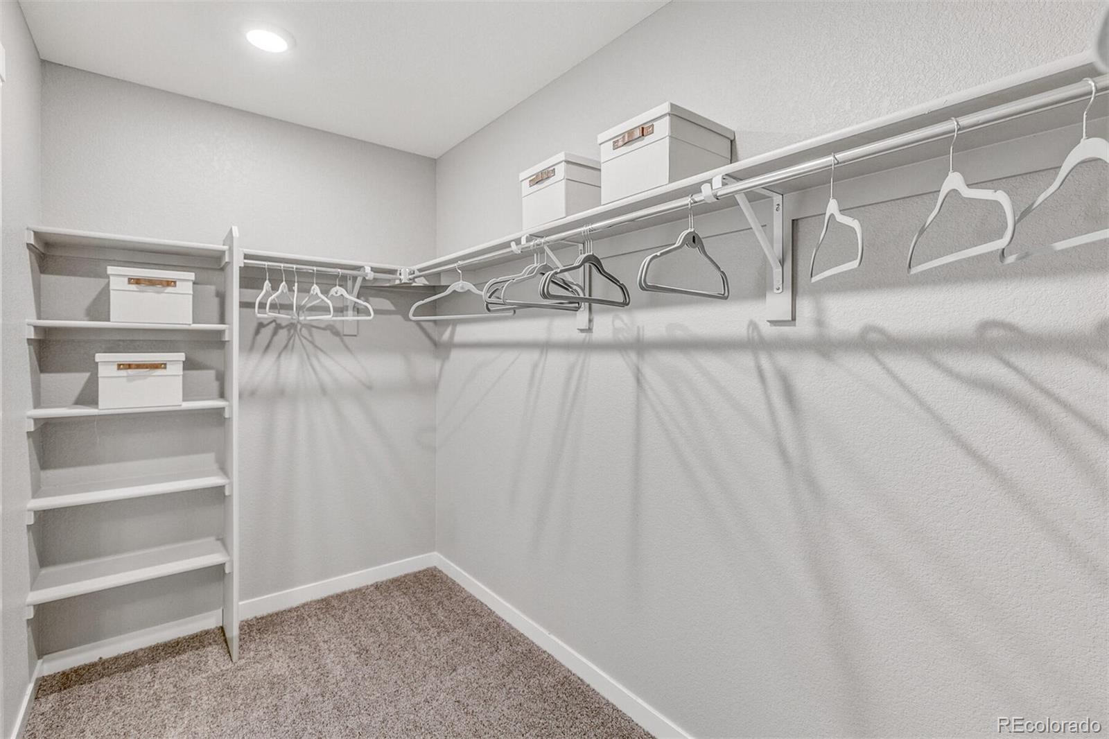 MLS Image #25 for 4837  cattle cross lane,castle rock, Colorado