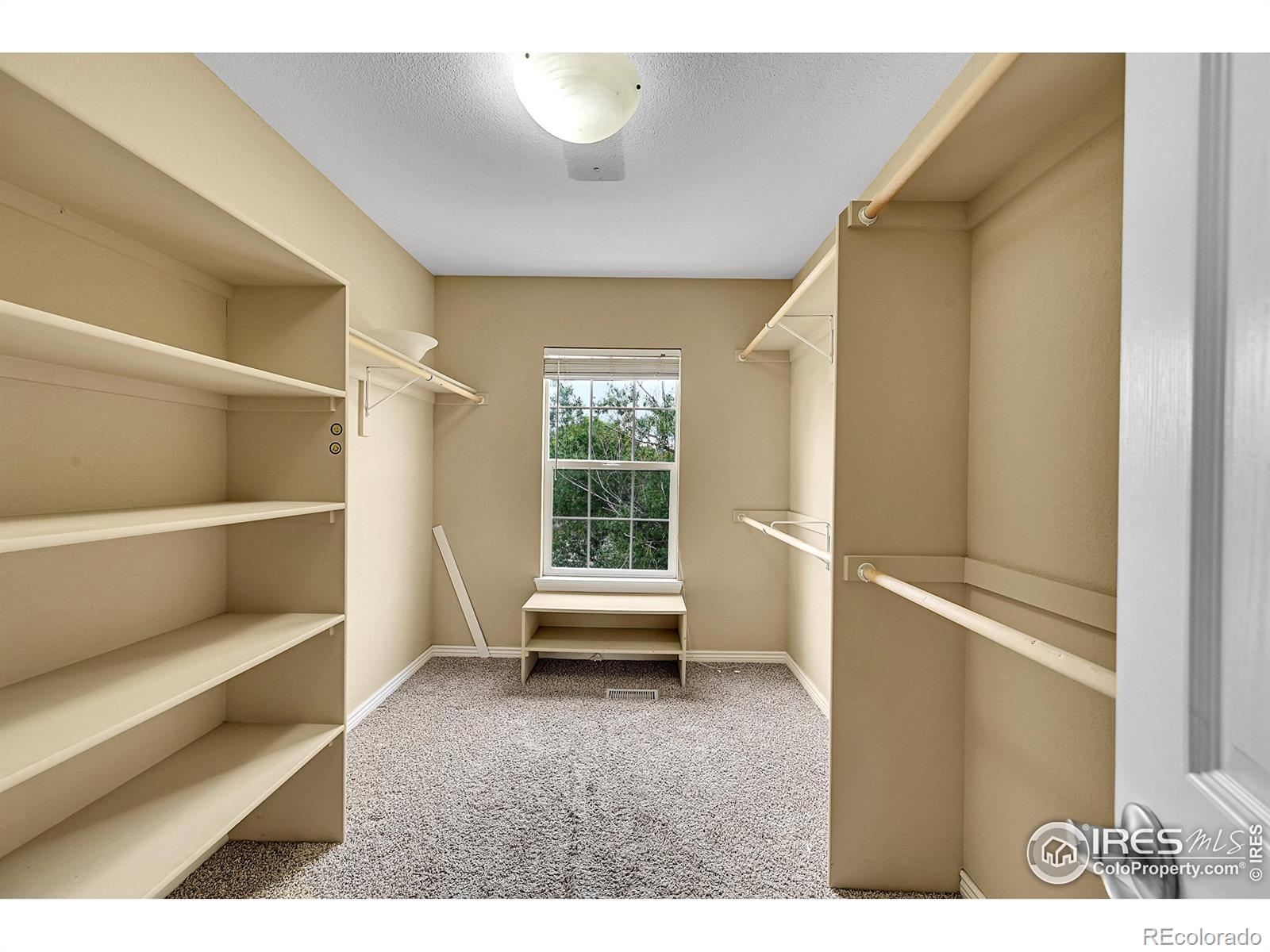 MLS Image #24 for 4764  maggie court,loveland, Colorado