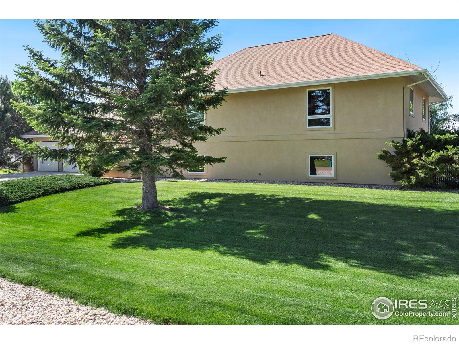 MLS Image #1 for 3493  whitetail circle,wellington, Colorado