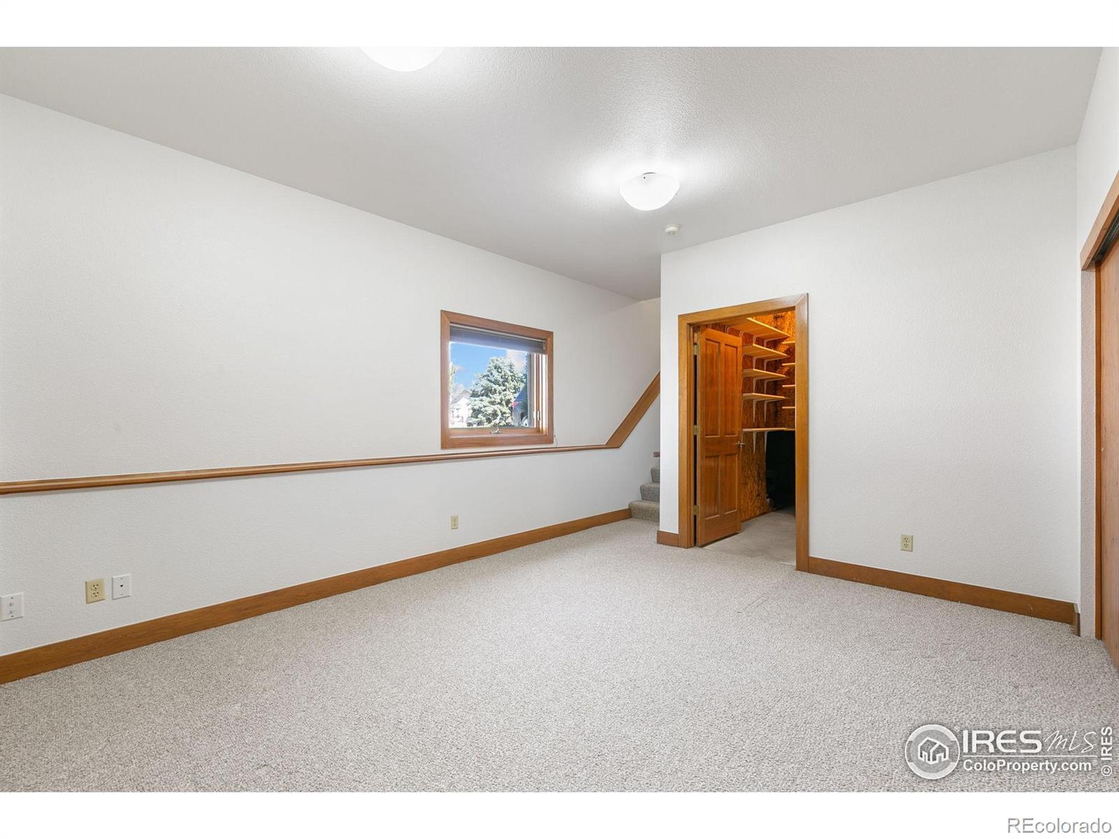 MLS Image #19 for 3493  whitetail circle,wellington, Colorado
