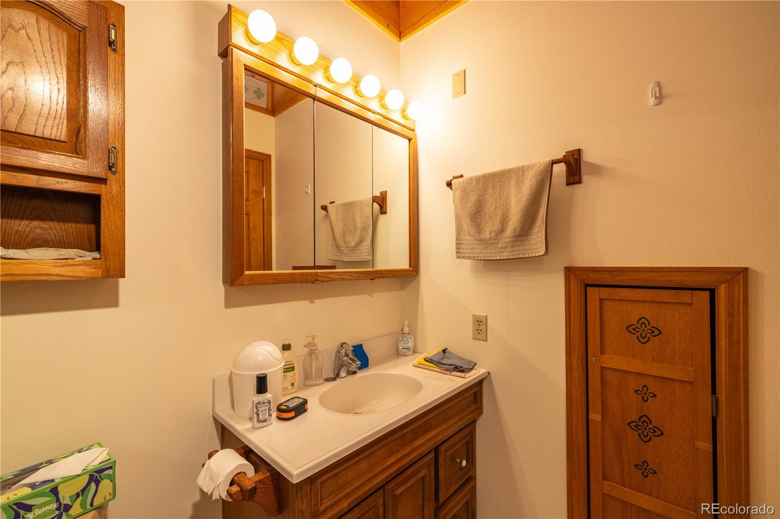 MLS Image #21 for 33606  gap road,golden, Colorado