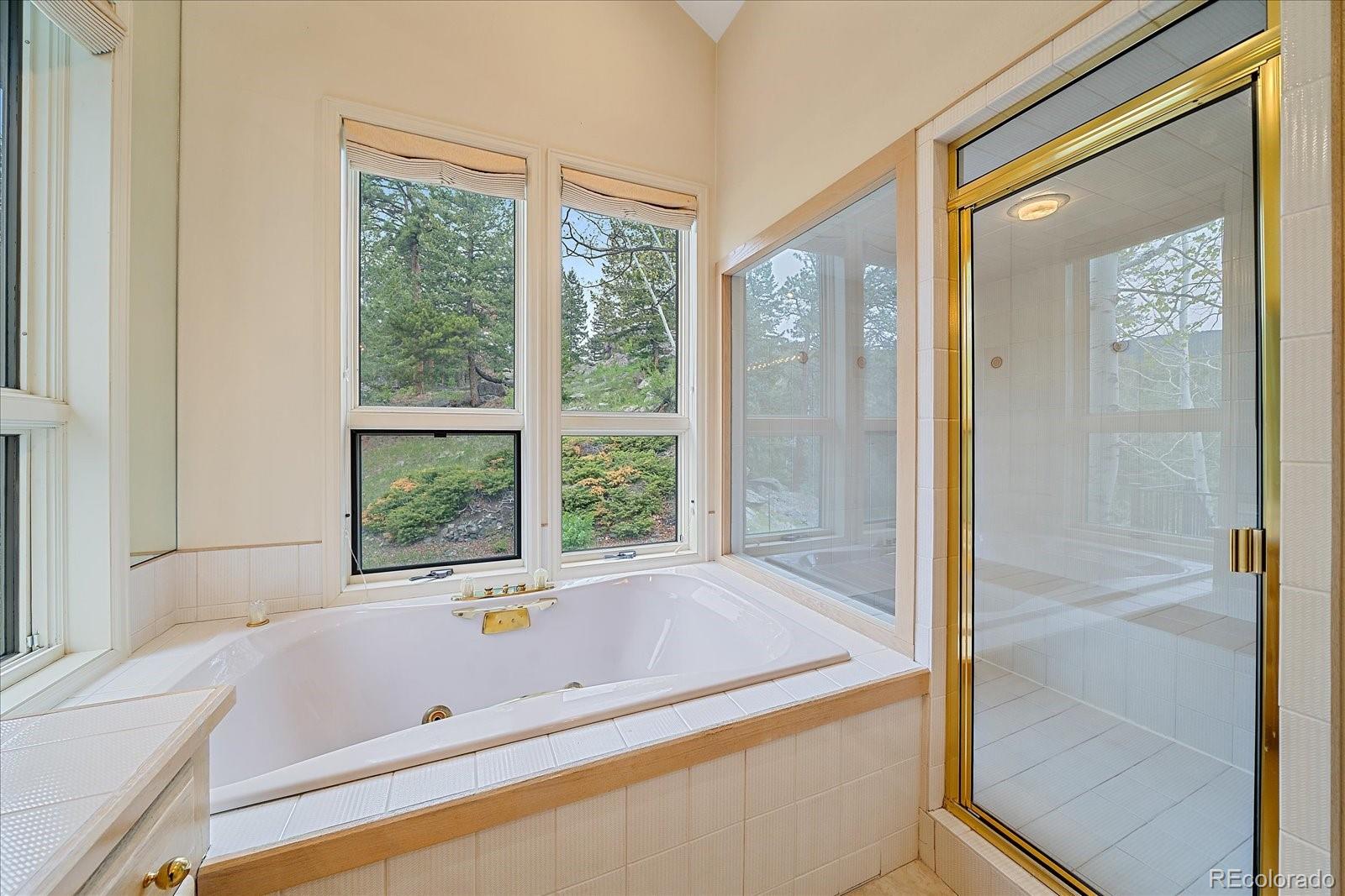 MLS Image #25 for 787 w meadow road,evergreen, Colorado