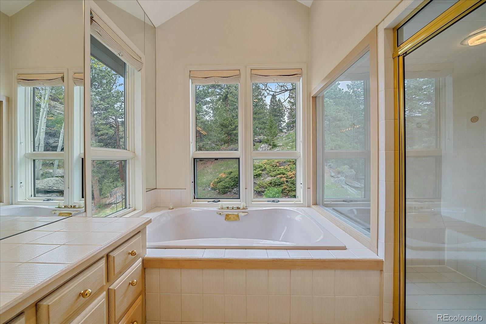 MLS Image #26 for 787 w meadow road,evergreen, Colorado