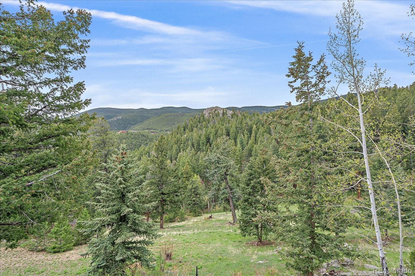 MLS Image #39 for 787 w meadow road,evergreen, Colorado