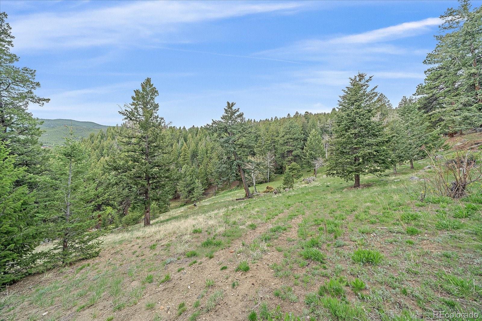 MLS Image #41 for 787 w meadow road,evergreen, Colorado