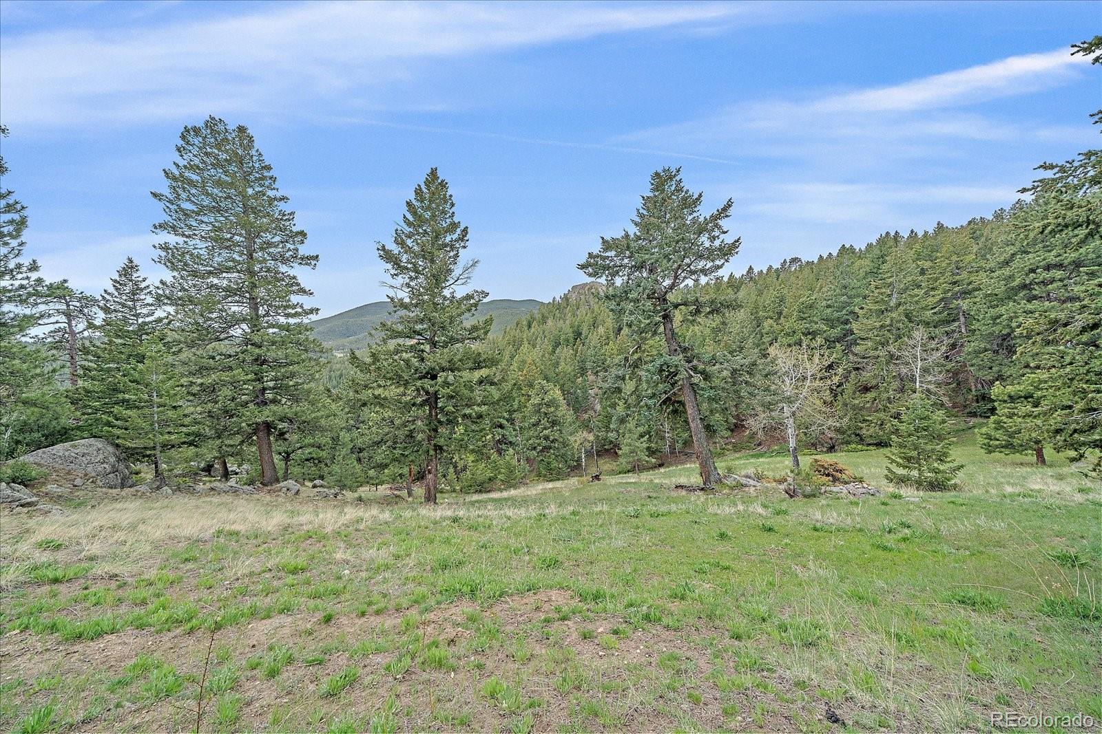 MLS Image #46 for 787 w meadow road,evergreen, Colorado