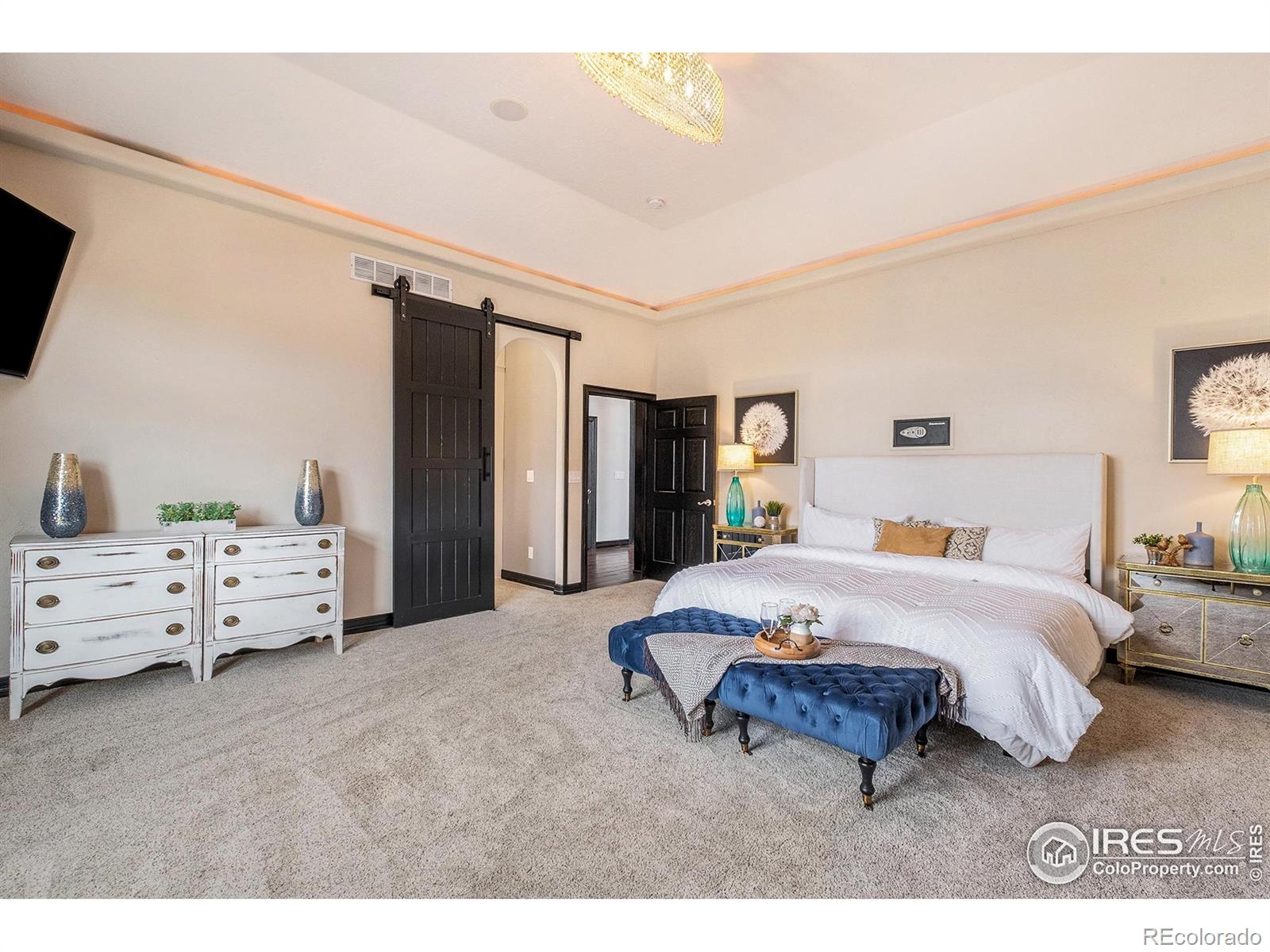 MLS Image #21 for 1496  eagle court,windsor, Colorado