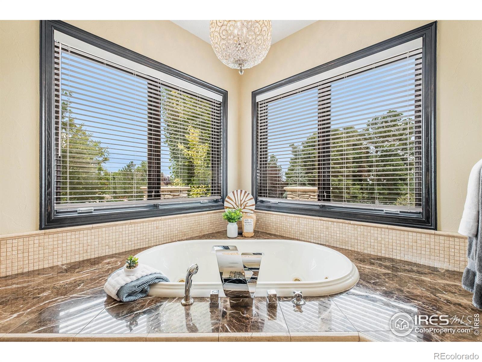 MLS Image #22 for 1496  eagle court,windsor, Colorado