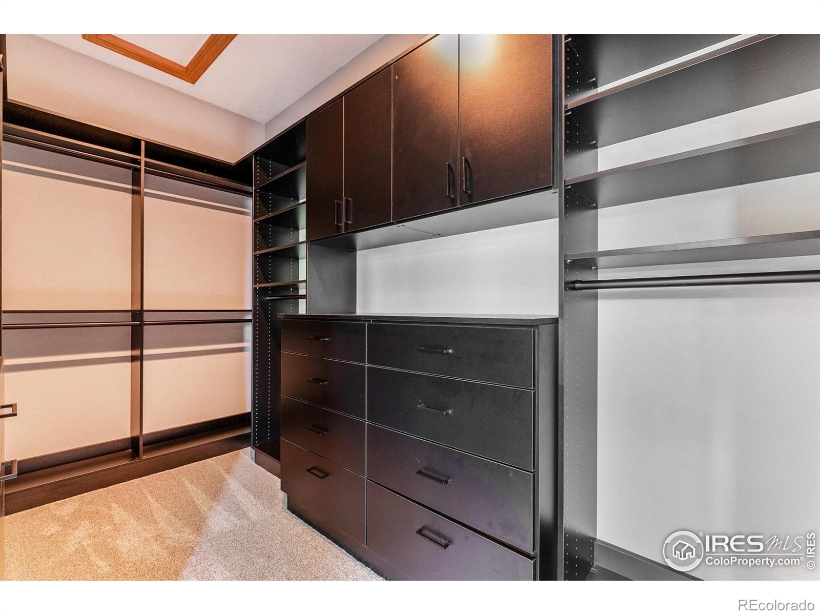 MLS Image #26 for 1496  eagle court,windsor, Colorado