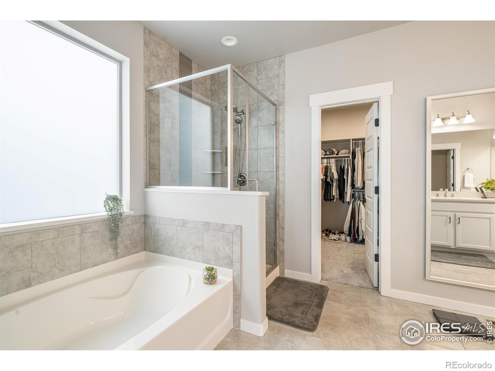 MLS Image #15 for 2102  bouquet drive,windsor, Colorado